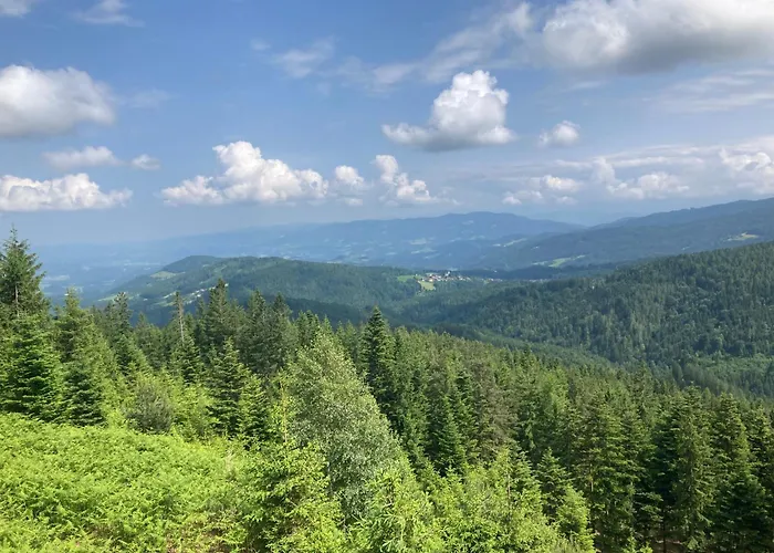 Katharina Haus, Wiel